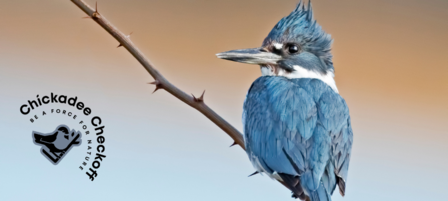 Donate a Portion of Your Tax Return to Support Kansas Wildlife