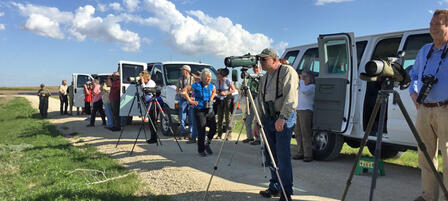 Birding Festival Returns to Great Bend in 2017 Birding Festival Returns to Great Bend in 2017
