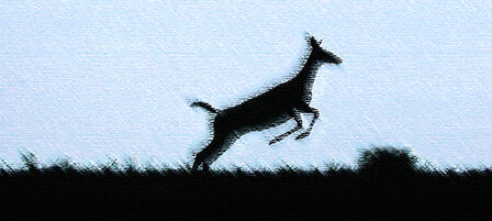 Apply For 2016 Nonresident Deer Permits Online April 1-29 Apply For 2016 Nonresident Deer Permits Online April 1-29