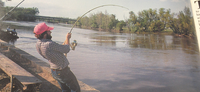 KANSAS PADDLEFISH SEASON OPENS MARCH 15
