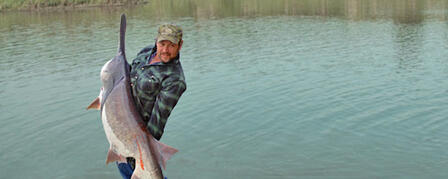 PADDLEFISH SPAWNING SEASON OFFERS BIG ANGLING OPPORTUNITIES PADDLEFISH SPAWNING SEASON OFFERS BIG ANGLING OPPORTUNITIES