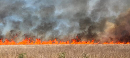 Learn About Using Fire To Manage Grassland Learn About Using Fire To Manage Grassland