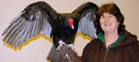 Rally Offers Fun Glimpse Into Migratory Bird Life Rally Offers Fun Glimpse Into Migratory Bird Life