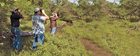 BIG YEAR COMPETITION FOR KANSAS BIRDERS BIG YEAR COMPETITION FOR KANSAS BIRDERS