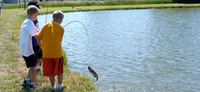 Webster State Park to Host OK Kids Day