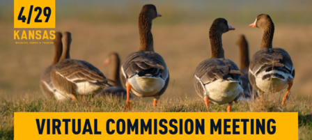 KDWPT Commission to Host Virtual Meeting April 29 KDWPT Commission to Host Virtual Meeting April 29