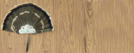 HOW TO AGE SPRING TOM TURKEYS