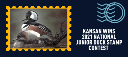 Kansas Teen Wins 2021 National Junior Duck Stamp Contest Kansas Teen Wins 2021 National Junior Duck Stamp Contest