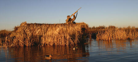 Wildlife, Parks and Tourism Commission Approve Waterfowl Seasons Wildlife, Parks and Tourism Commission Approve Waterfowl Seasons