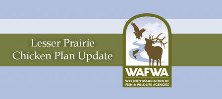 Lesser Prairie Chicken Range-wide Conservation Plan Progress Lesser Prairie Chicken Range-wide Conservation Plan Progress