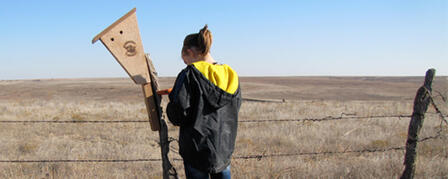 CHICKADEE CHECKOFF SMALL GRANTS PROPOSALS DUE MAY 18 CHICKADEE CHECKOFF SMALL GRANTS PROPOSALS DUE MAY 18