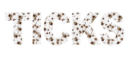 Tick Busters Tick Busters