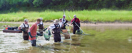 STREAM SURVEYS BEING CONDUCTED THROUGH AUGUST