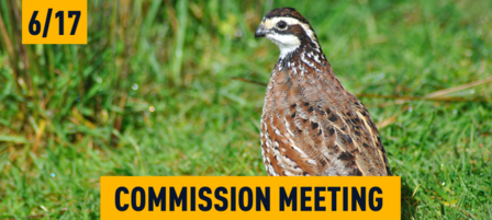 KDWPT Commission Meeting June 17 in Wichita KDWPT Commission Meeting June 17 in Wichita