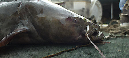 “Hands-on” Angling Is Hands Down Good Time “Hands-on” Angling Is Hands Down Good Time