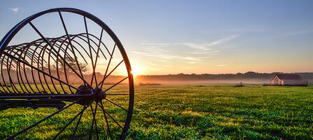 Wild About Kansas Photo Contest Going on Now