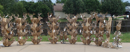 TEXAS MAN SENTENCED TO JAIL IN CONNECTION WITH KANSAS DEER HUNTING AND GUIDING OPERATION TEXAS MAN SENTENCED TO JAIL IN CONNECTION WITH KANSAS DEER HUNTING AND GUIDING OPERATION