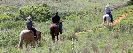 KANSAS OUTDOOR RECREATION SURVEY 2013 KANSAS OUTDOOR RECREATION SURVEY 2013