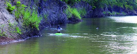 HANDFISHING SEASON KICKS OFF JUNE 15 HANDFISHING SEASON KICKS OFF JUNE 15