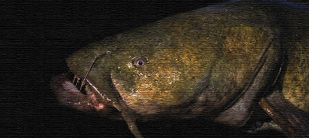 Handfishing Requires Nerves of Steel