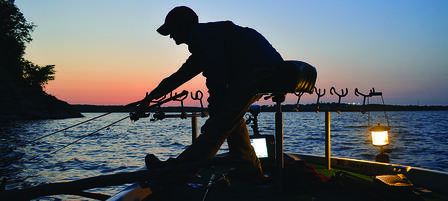 Leave a Light On And Catch Fish