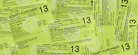 OVER THE COUNTER DEER PERMITS AVAILABLE JULY 30 OVER THE COUNTER DEER PERMITS AVAILABLE JULY 30