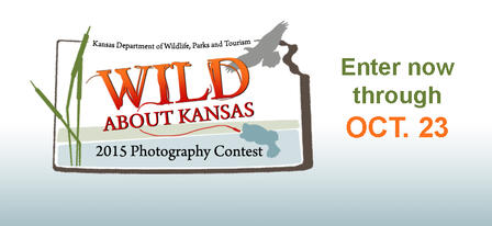Enter Your Favorite Outdoor Photos in the 2015 Wild About Kansas Photo Contest Enter Your Favorite Outdoor Photos in the 2015 Wild About Kansas Photo Contest