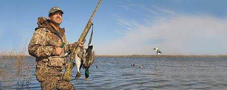 DUCK BREEDING POPULATION ESTIMATES SHOW PROMISING NUMBERS
