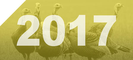 Commission To Discuss 2017 Turkey Hunting Regulations Commission To Discuss 2017 Turkey Hunting Regulations