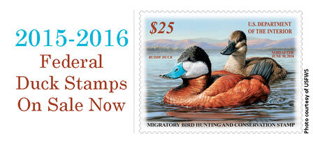 2015-2016 Federal Duck Stamps On Sale Now 2015-2016 Federal Duck Stamps On Sale Now