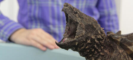 Aquatic Wildlife Propagation Center Opens