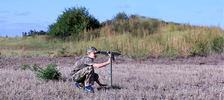 Youth Invited to Hunt Doves At Glen Elder Wildlife Area Youth Invited to Hunt Doves At Glen Elder Wildlife Area