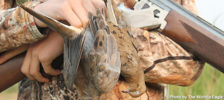 Youth Dove Hunts Planned for Opening Day Youth Dove Hunts Planned for Opening Day