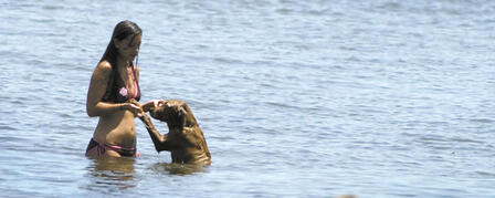KEEP PETS, PEOPLE AWAY FROM BLUE-GREEN ALGAE KEEP PETS, PEOPLE AWAY FROM BLUE-GREEN ALGAE