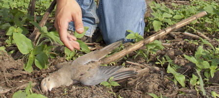 Long Wait For Hunting Season Almost Over Long Wait For Hunting Season Almost Over
