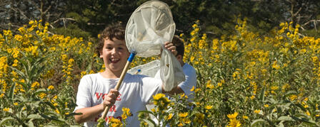 KANSAS WETLANDS EDUCATION CENTER BUTTERFLY FESTIVAL KANSAS WETLANDS EDUCATION CENTER BUTTERFLY FESTIVAL