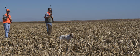 2012 UPLAND BIRD FORECAST ONLINE 2012 UPLAND BIRD FORECAST ONLINE