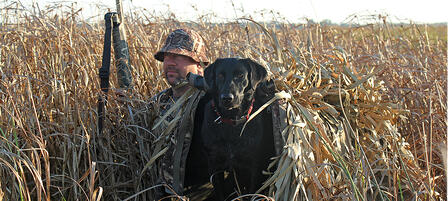 Duck Hunters Invited to Free Breakfast in Great Bend