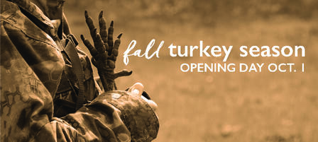 Find Yourself On a Fall Turkey Hunt Find Yourself On a Fall Turkey Hunt
