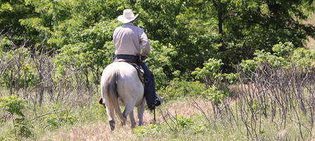 Eisenhower State Park to Host Benefit Trail Ride