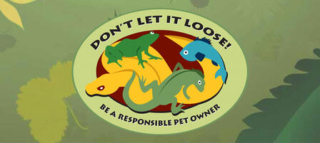 Please Don’t Release Unwanted Pets Into The Wild Please Don’t Release Unwanted Pets Into The Wild