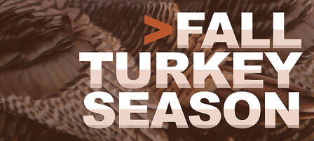 Fall Turkey Hunting Not Your Average Season Fall Turkey Hunting Not Your Average Season