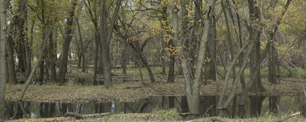 WILD TURKEY FEDERATION TO FUND KANSAS HABITAT PROJECTS WILD TURKEY FEDERATION TO FUND KANSAS HABITAT PROJECTS