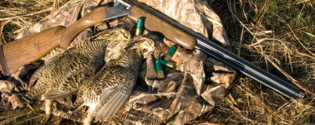 EARLY PRAIRIE CHICKEN SEASON REQUIRES LEGWORK EARLY PRAIRIE CHICKEN SEASON REQUIRES LEGWORK