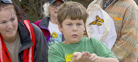 Kansas Wetlands Education Center To Host Butterfly Festival Kansas Wetlands Education Center To Host Butterfly Festival
