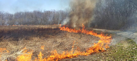 Prescribed Fire Workshop in Troy