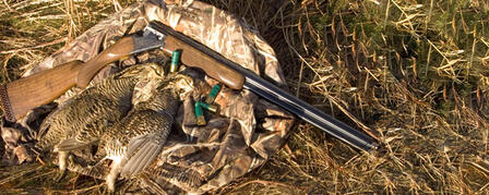 HUNTERS REMINDED OF PRAIRIE CHICKEN PERMIT FOR 2012 HUNTERS REMINDED OF PRAIRIE CHICKEN PERMIT FOR 2012