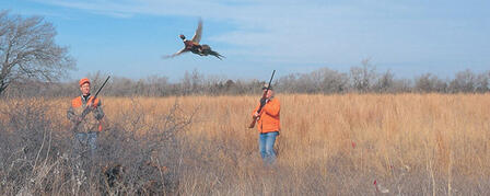 PHEASANT AND QUAIL SEASONS OPEN NOVEMBER 10 PHEASANT AND QUAIL SEASONS OPEN NOVEMBER 10