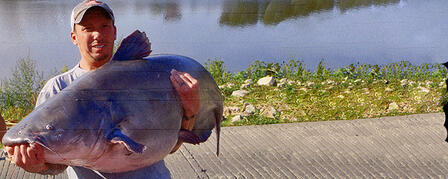 MONSTER BLUE CATFISH CERTIFIED AS KANSAS RECORD MONSTER BLUE CATFISH CERTIFIED AS KANSAS RECORD