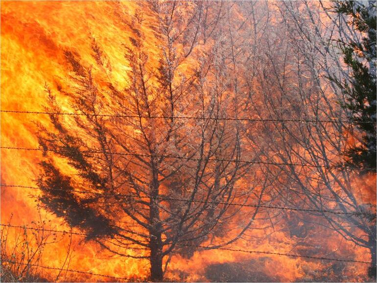 Burning Cedar